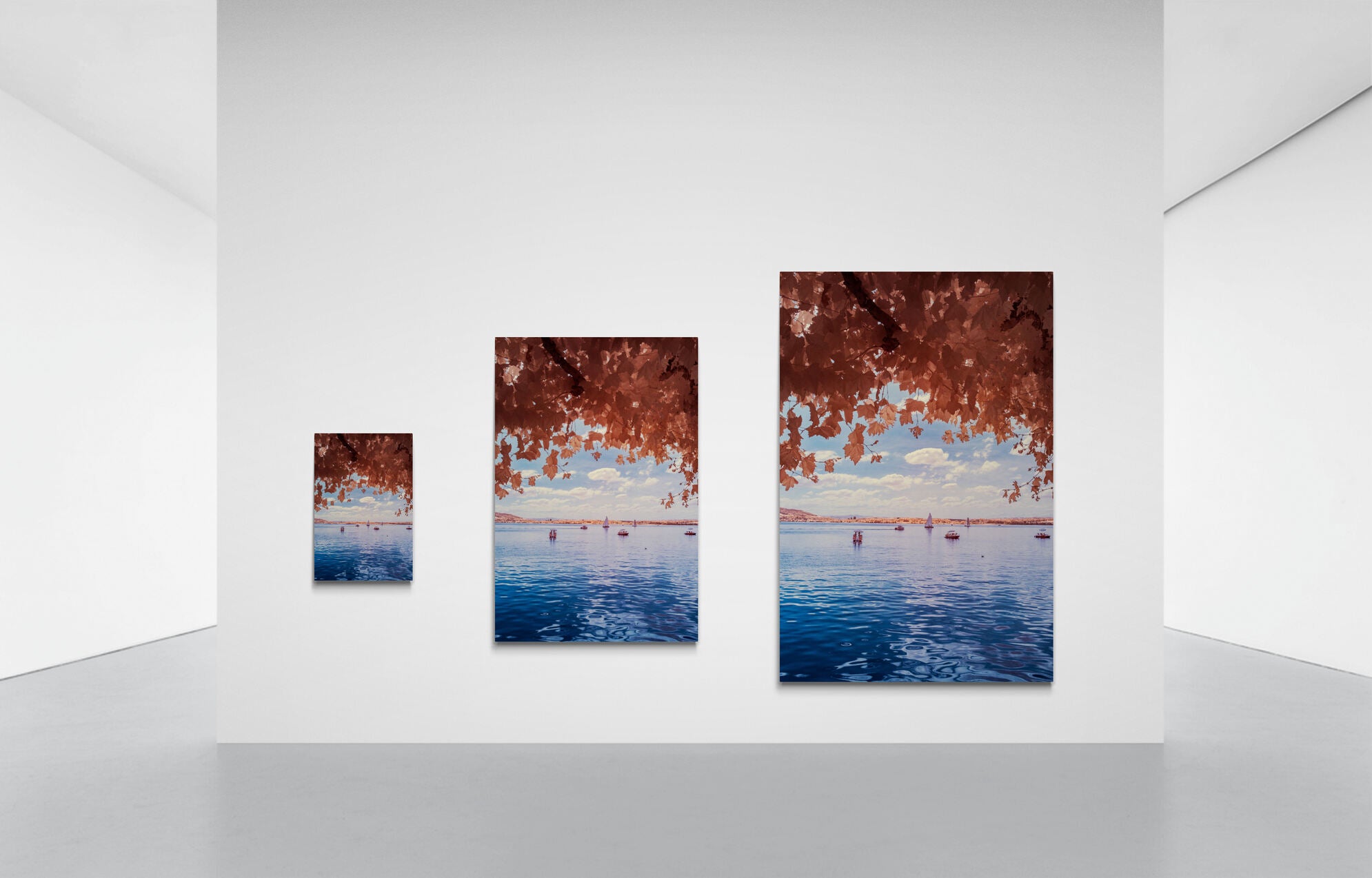 Large_wall_in_minimal_gallery (28).jpg__PID:3c648d73-2fd5-49f1-a9d6-706cac8b6db7