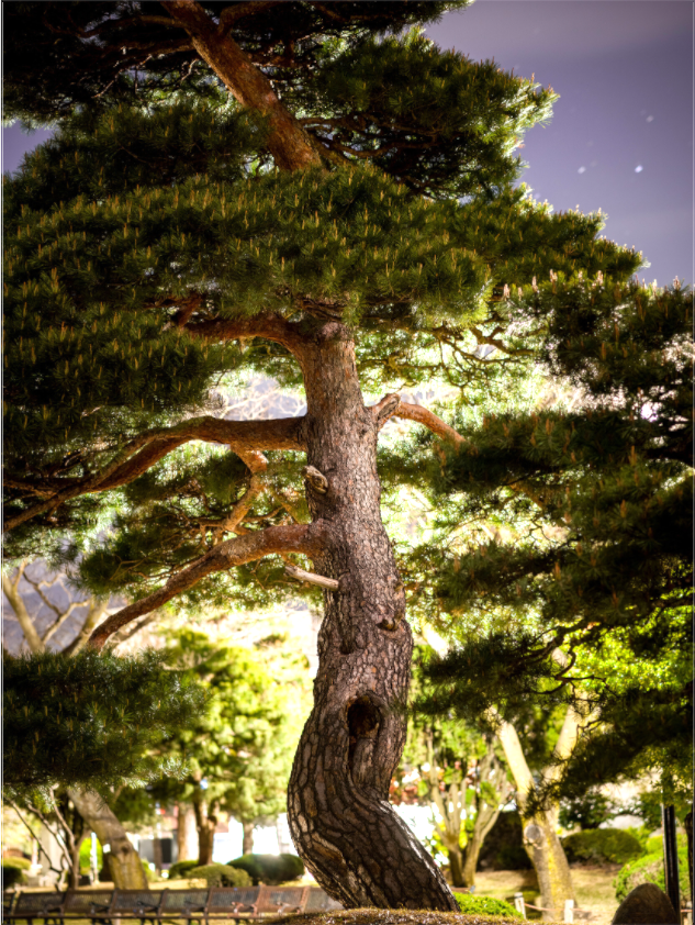 Japan