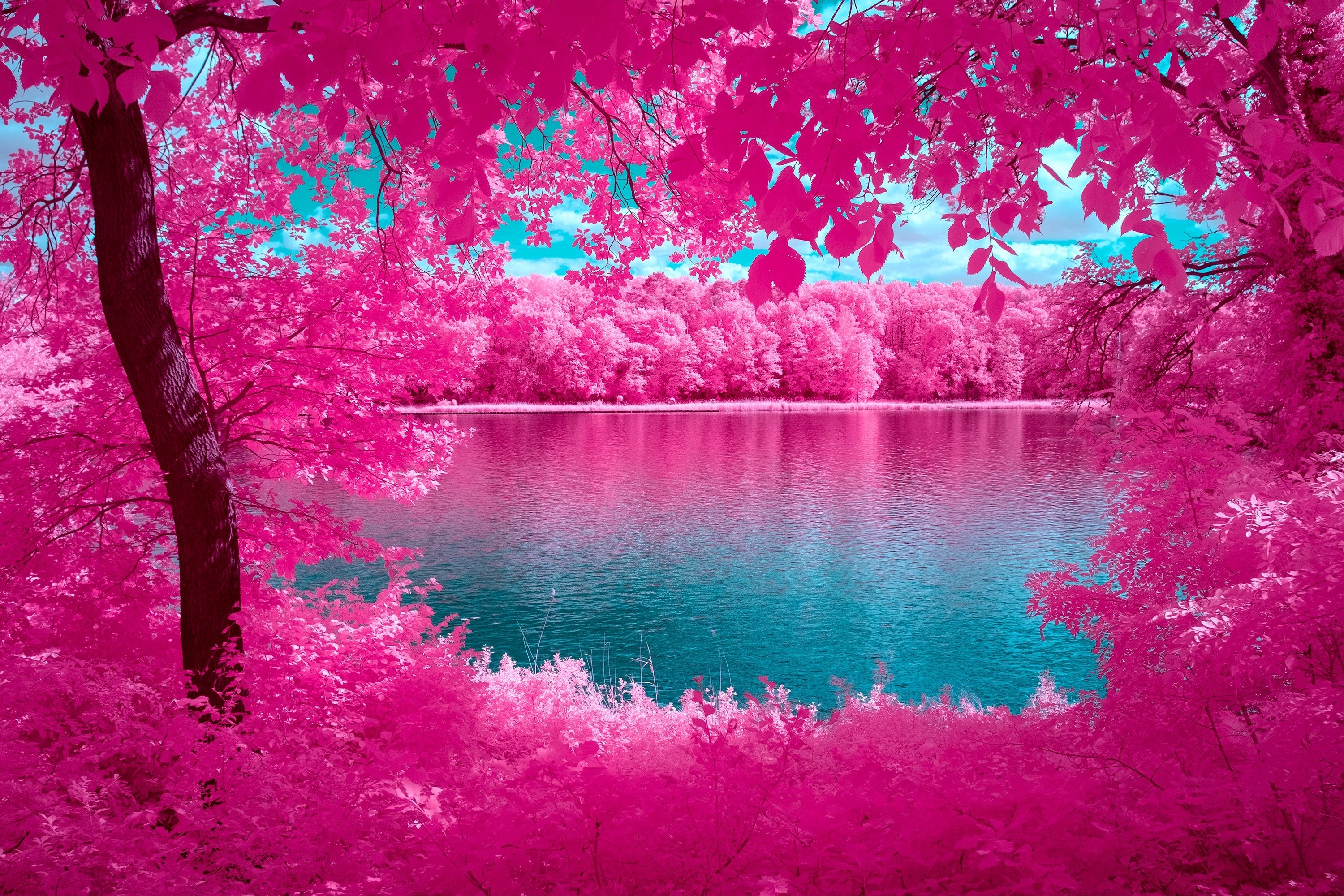 THE MIRROR OF NATURE, DEUTSCHLAND
