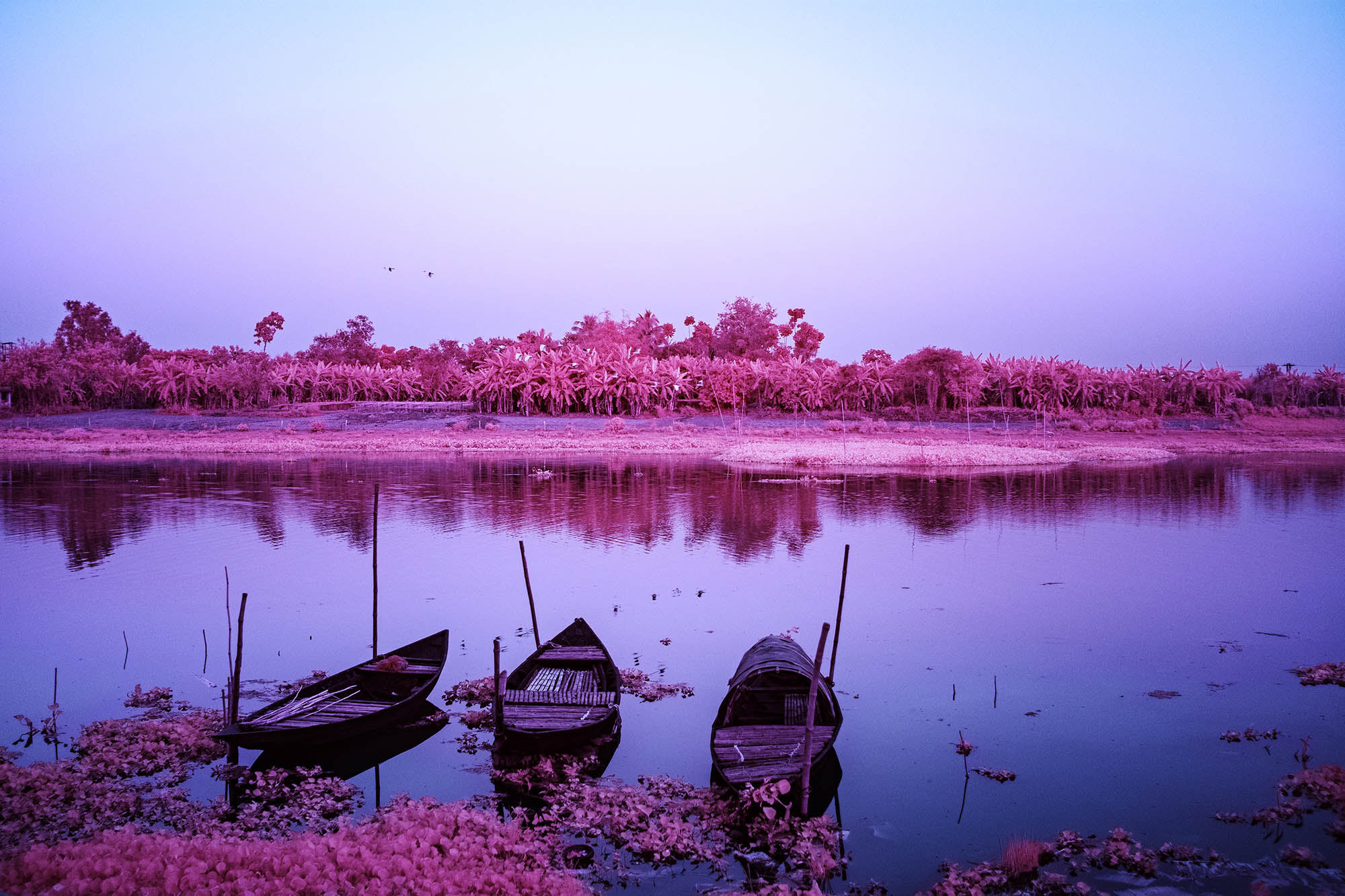 A SACRED OASIS ON THE JALANGI RIVER, INDIEN
